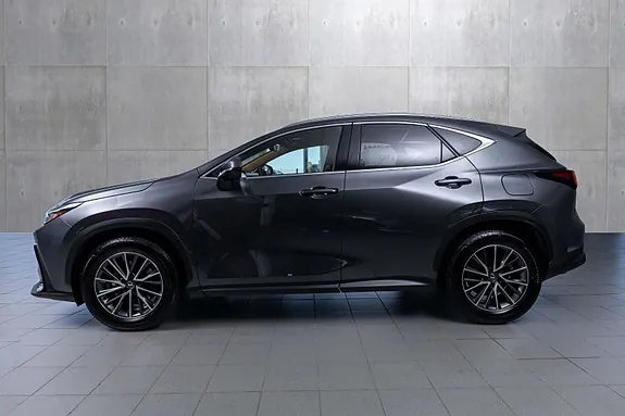 Lexus Nx450H+ 2023 photo 3
