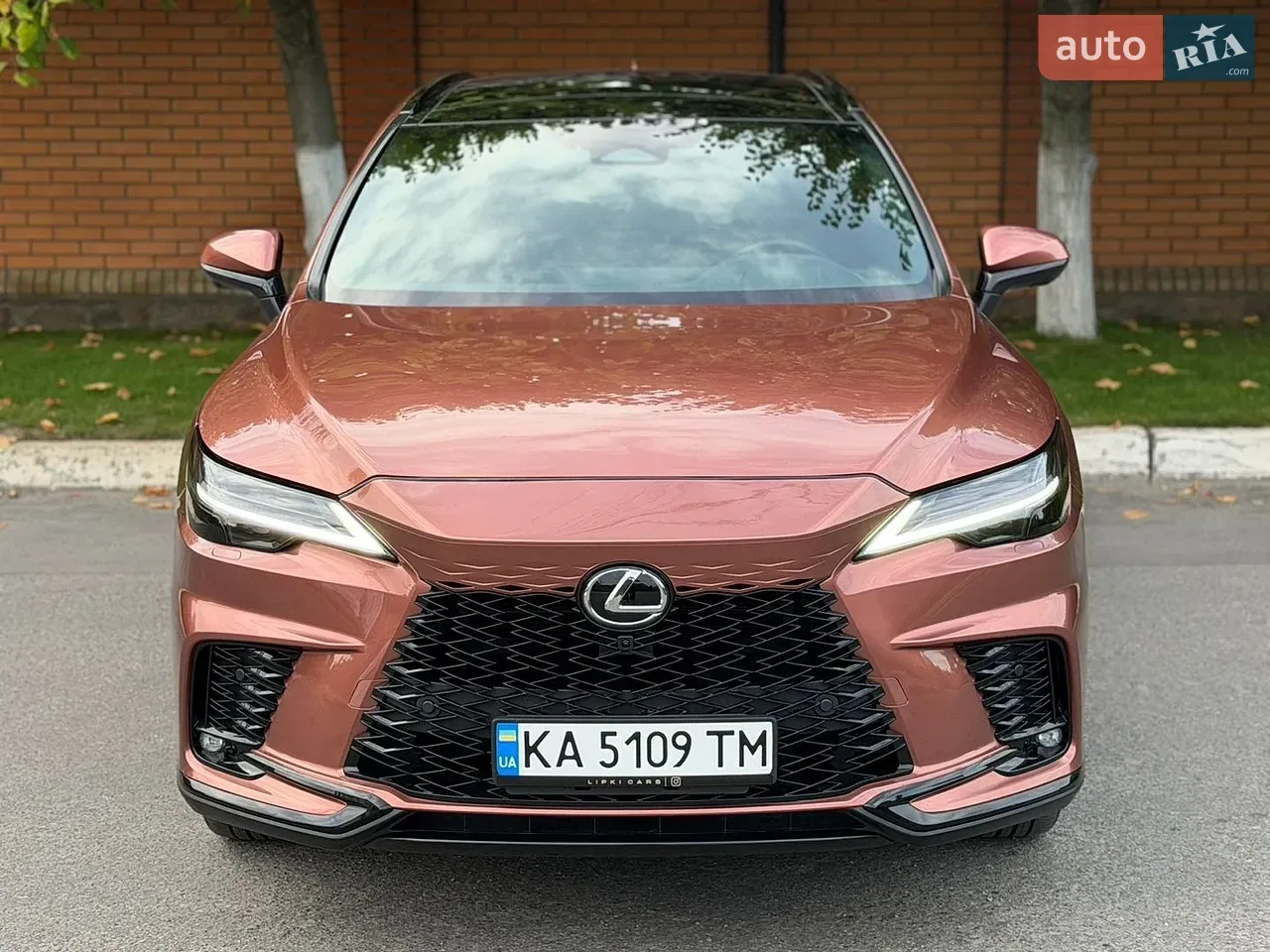 Lexus Rx 2024 photo 2