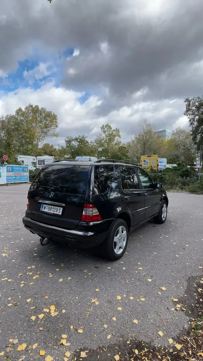 Mercedes-Benz M-Class 2004 photo 2