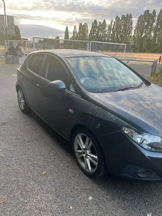 Seat Ibiza 2010 photo 3
