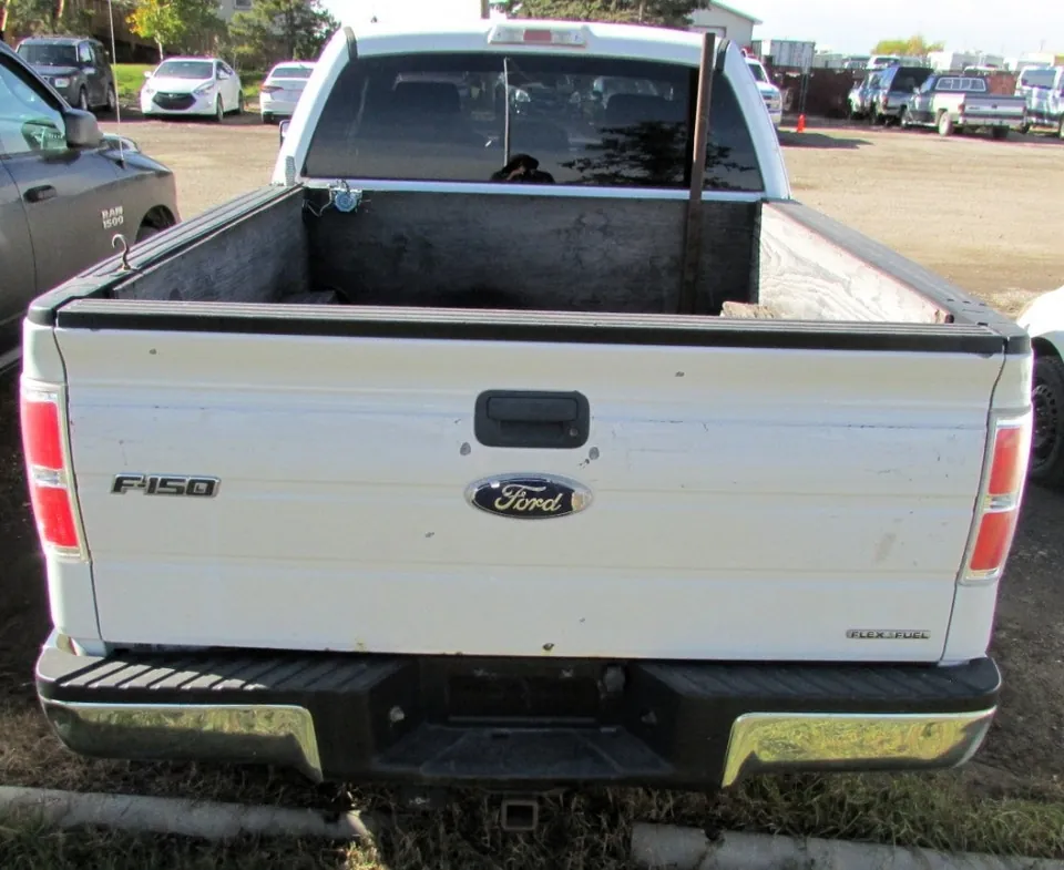 Ford F-150 2012 photo 5