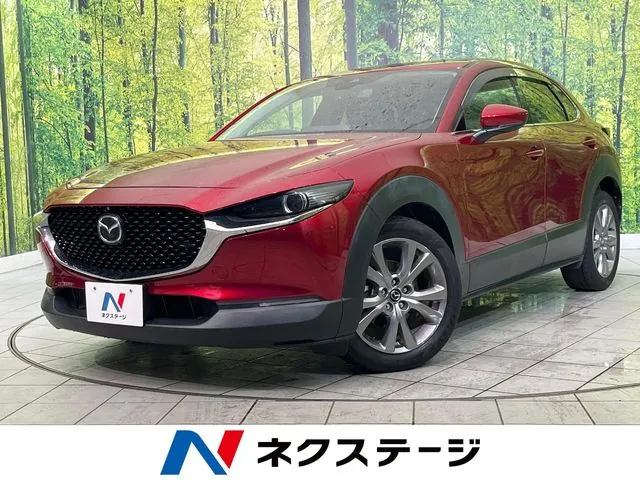 Mitsubishi Cx-30