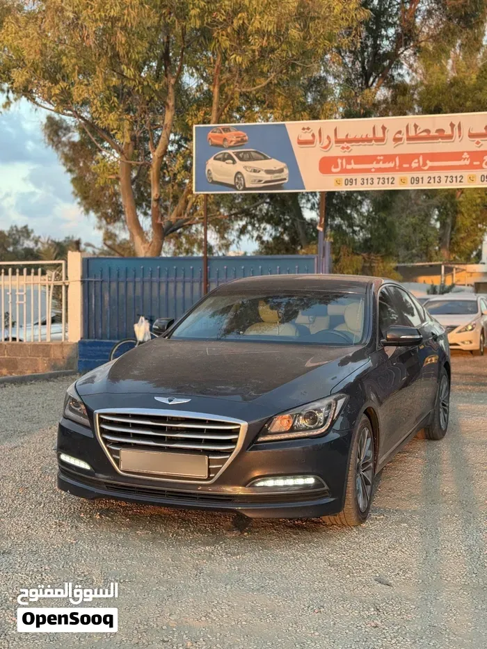 Genesis Sonata 2016 photo 2