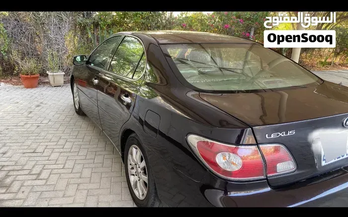 Lexus Es 300 2002 photo 4