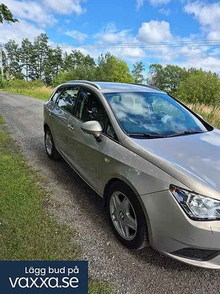 Seat Ibiza 2013 photo 3