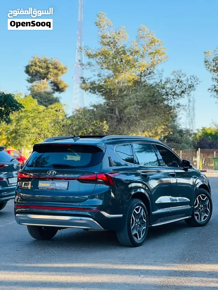 Hyundai Santa Fe 2022 photo 3