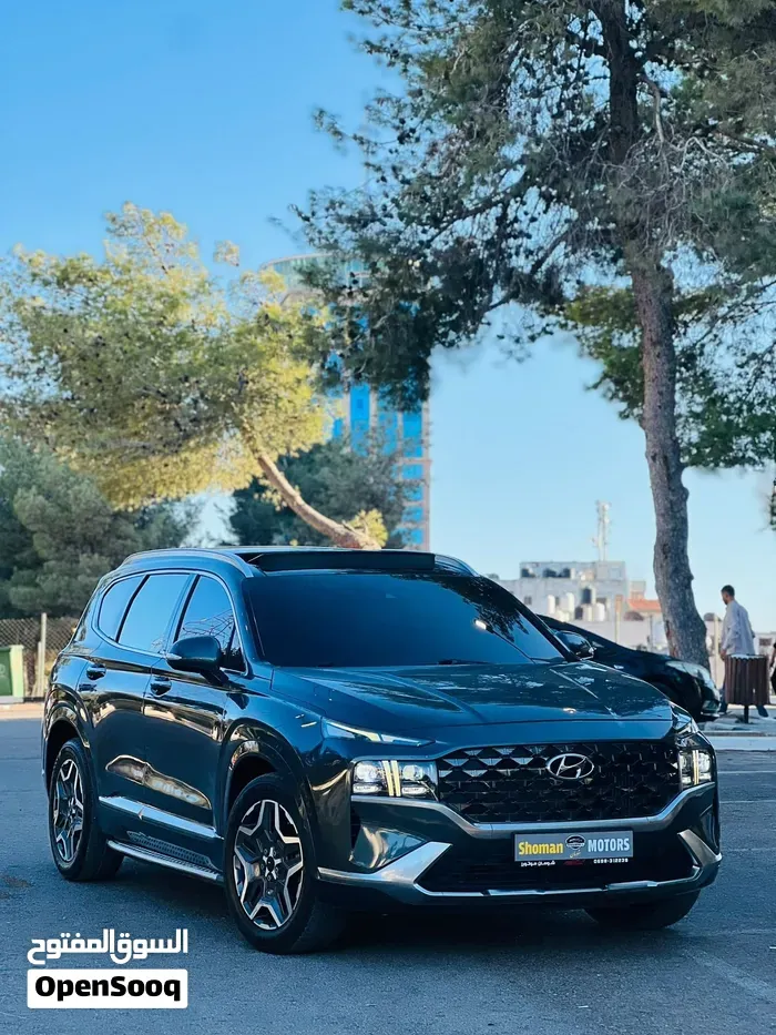 Hyundai Santa Fe 2022 photo 2