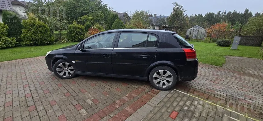 Opel Signum 2008 photo 3