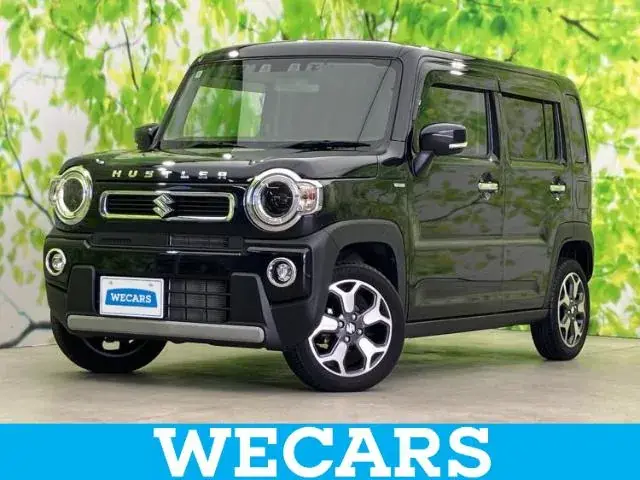Suzuki Haruger