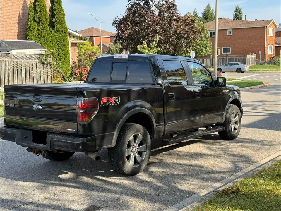 Ford F-150 2014 photo 3