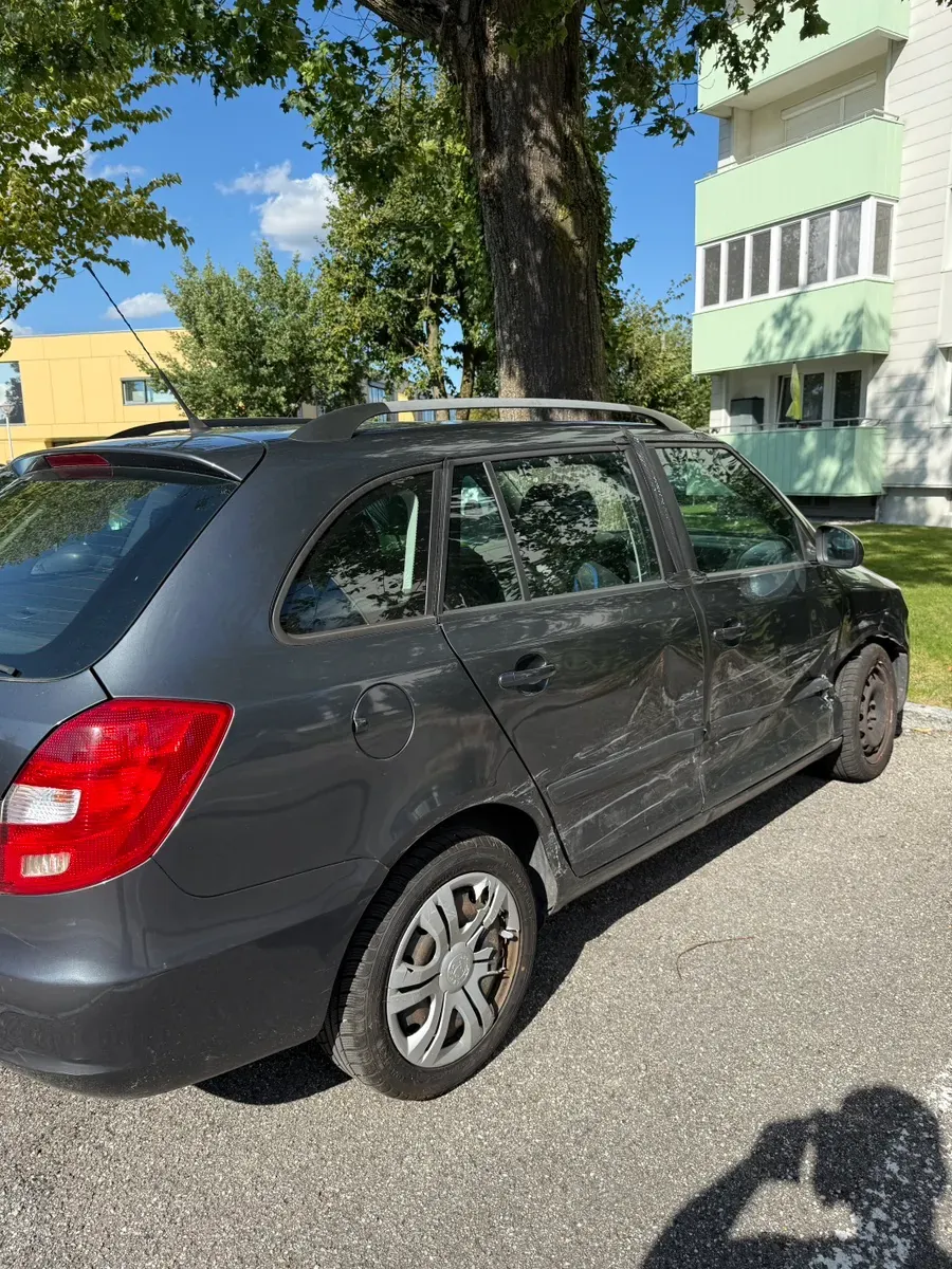 Skoda Fabia 2010 photo 2