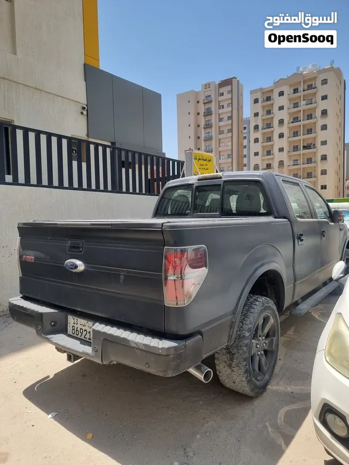 Ford F-150 2014 photo 2