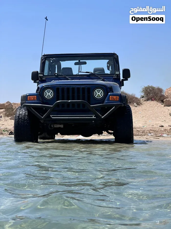 Jeep Wrangler 2006 photo 3