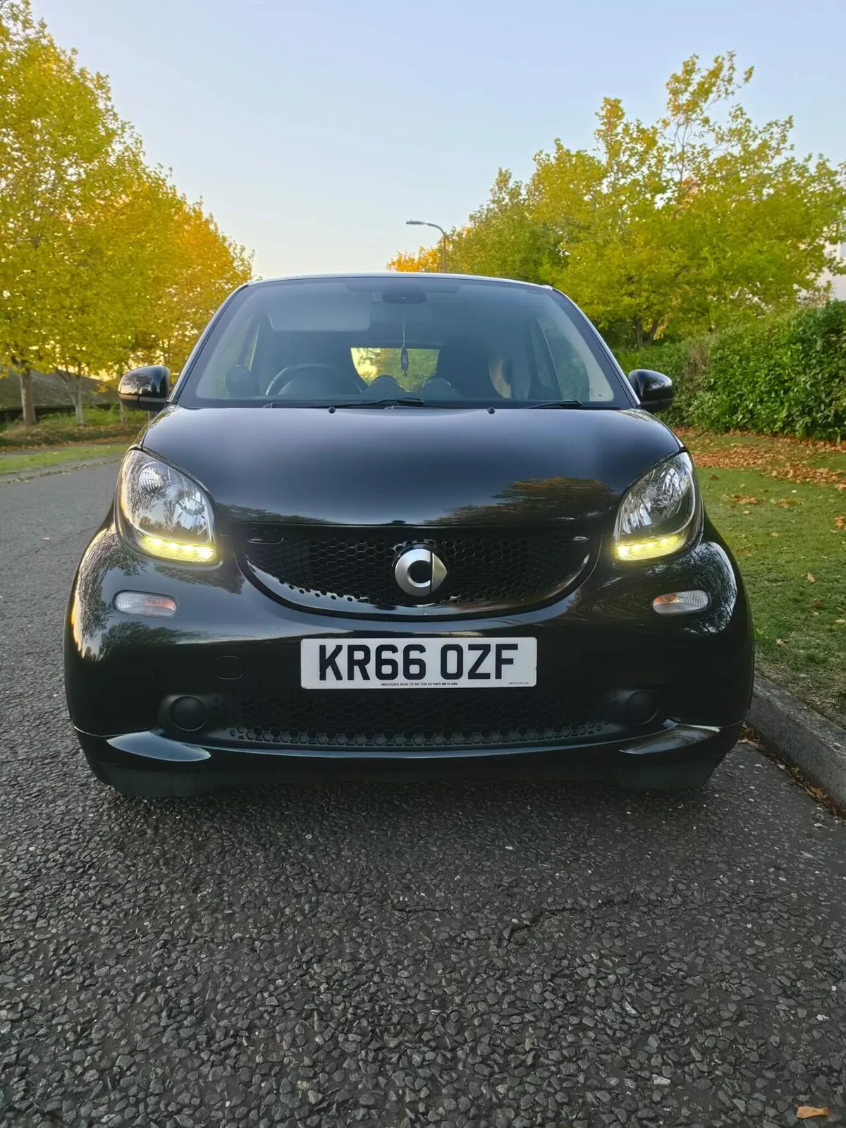 Smart Fortwo 2016 photo 5