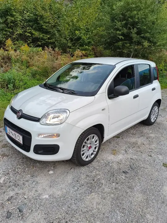 Fiat Panda 2019 photo 2