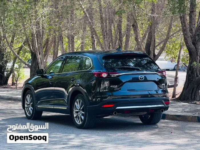 Mazda Cx-9 2020 photo 2