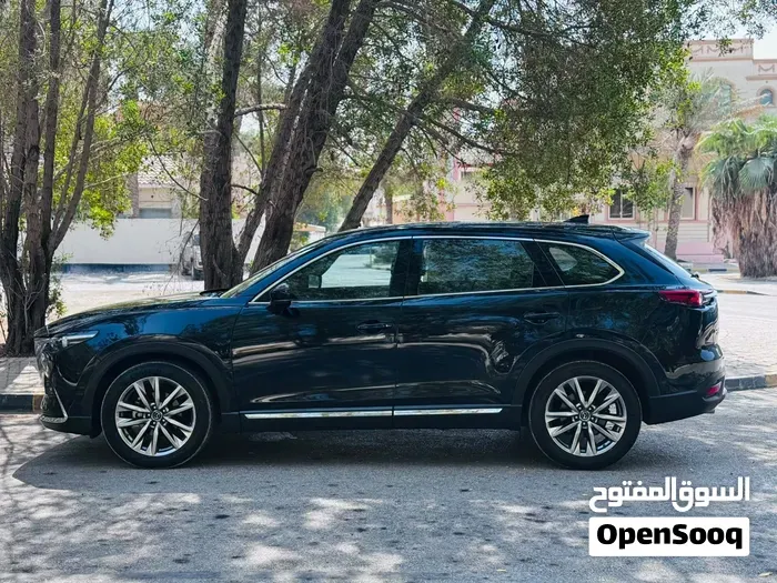 Mazda Cx-9 2020 photo 3