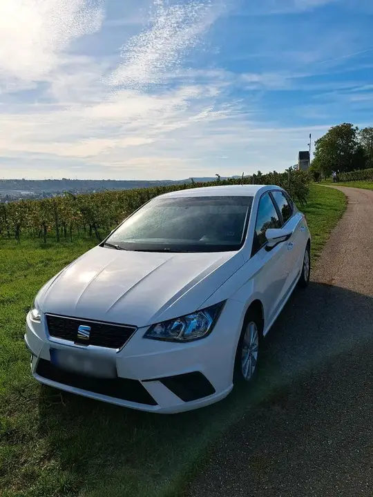 Seat Ibiza Style