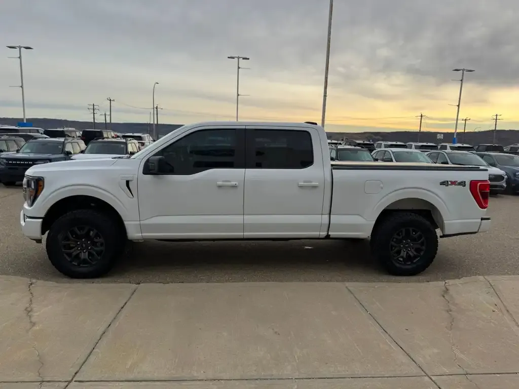 Ford F-150 2023 photo 4
