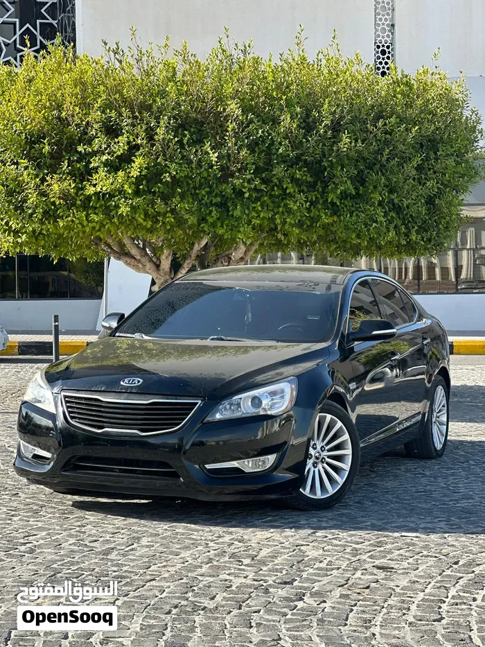 Kia Cadenza 2010 photo 2
