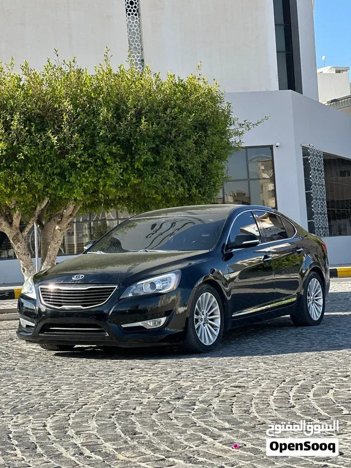 Kia Cadenza 2010 photo 4