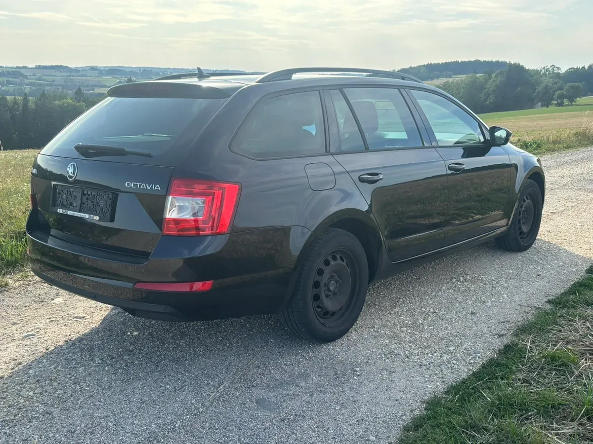 Skoda Octavia 2015 photo 3