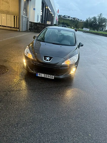 Peugeot 308 2008 photo 2