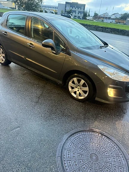 Peugeot 308 2008 photo 3