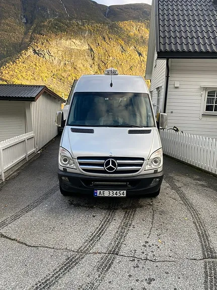 Mercedes-Benz Sprinter 316 2012 photo 2