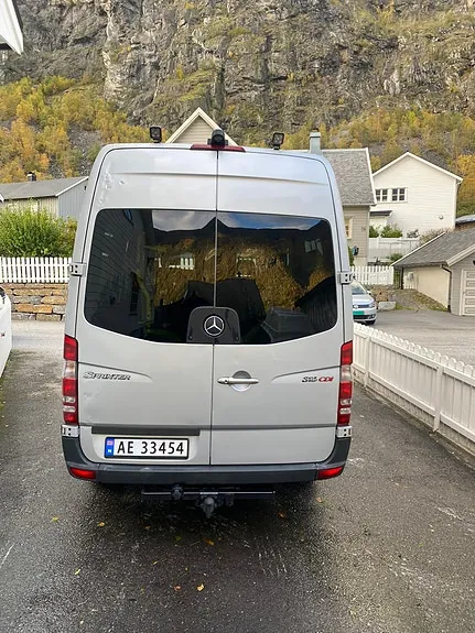 Mercedes-Benz Sprinter 316 2012 photo 3