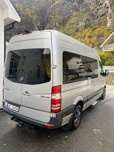 Mercedes-Benz Sprinter 316 2012 photo 5