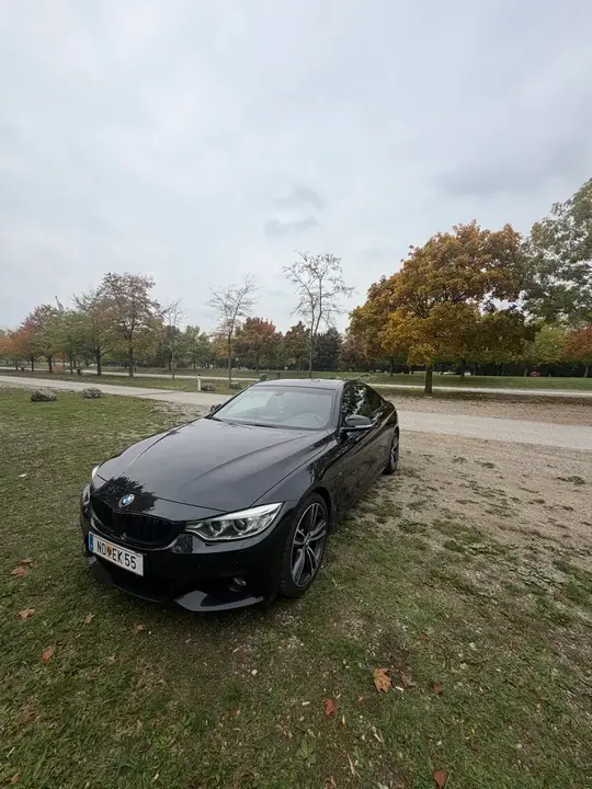 BMW 4 Series 2015 photo 3