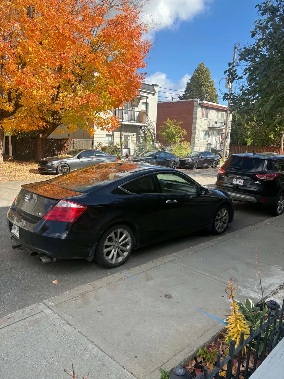Honda Accord 2010 photo 4