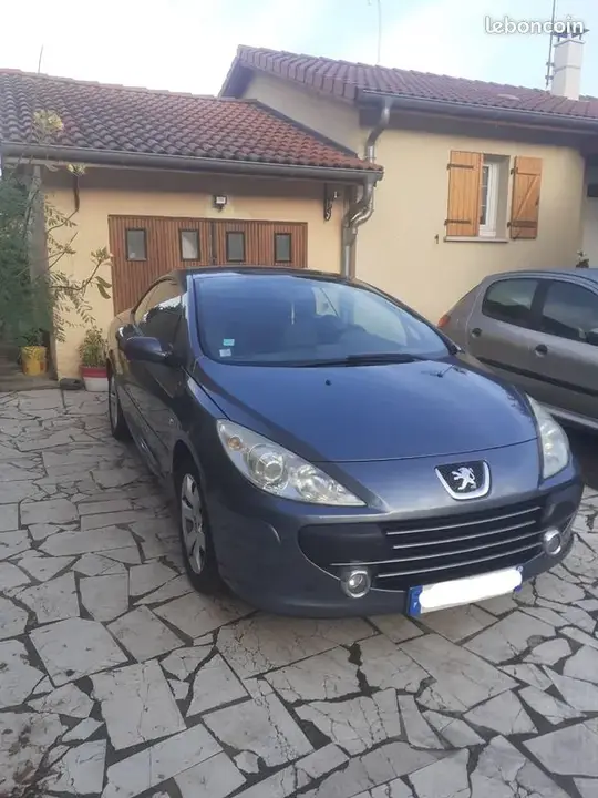 Peugeot 307 2007 photo 3