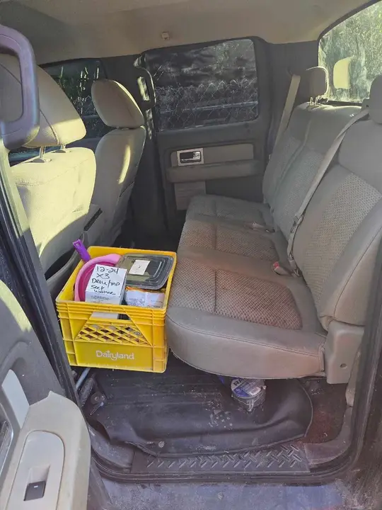 Ford F-150 2009 photo 3