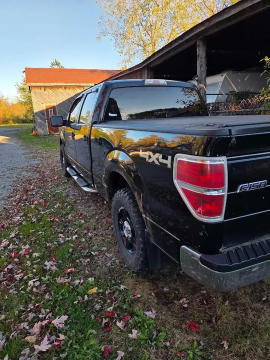 Ford F-150 2009 photo 2