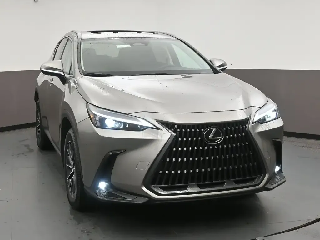 Lexus Nx 2024 photo 2