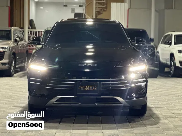 BYD Song Plus H 2026 photo 3