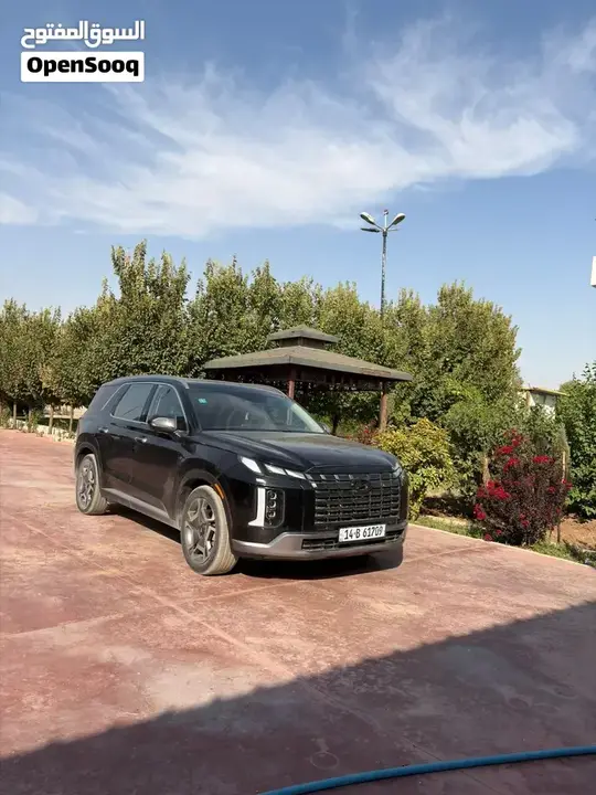 Hyundai Palisade 2024 photo 2