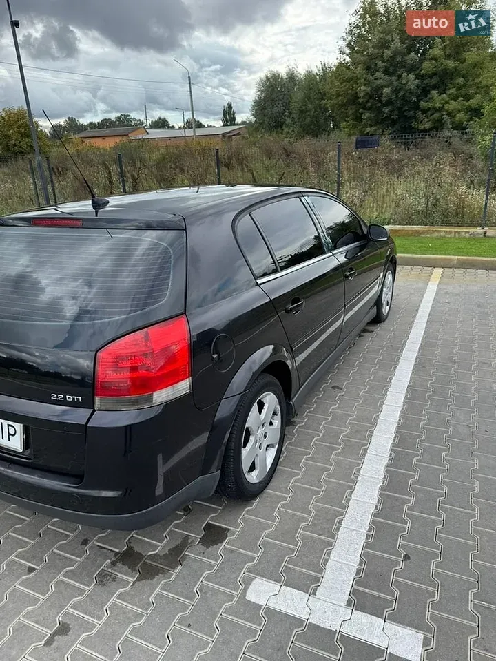 Opel Signum 2003 photo 5