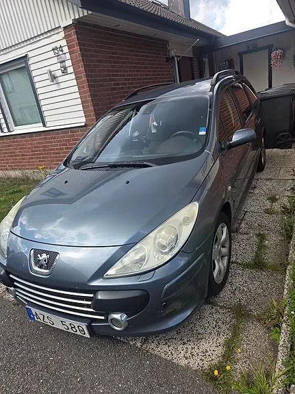 Peugeot 307 2007 photo 2