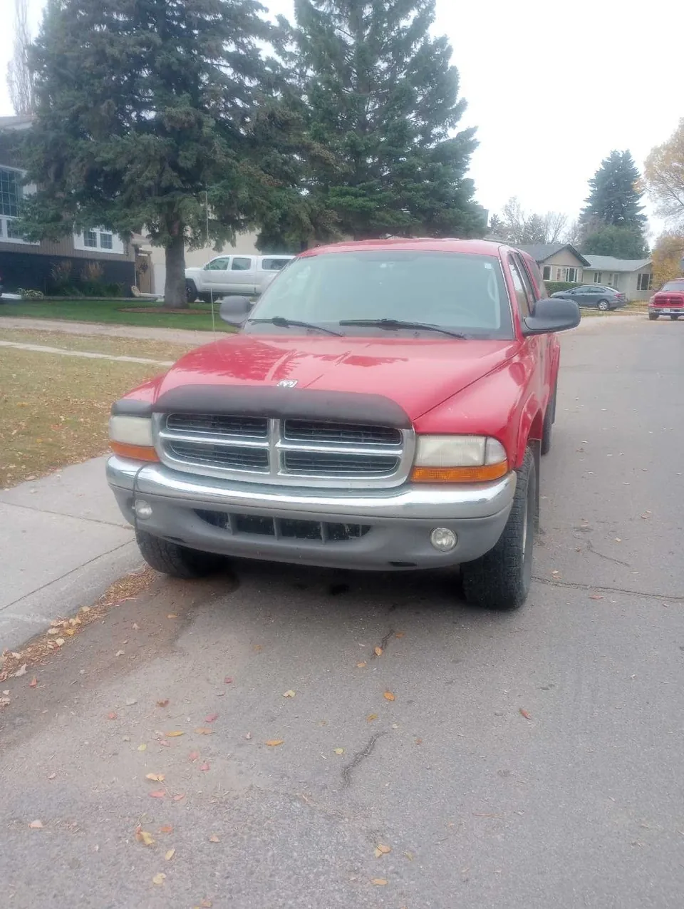 Dodge Dakota