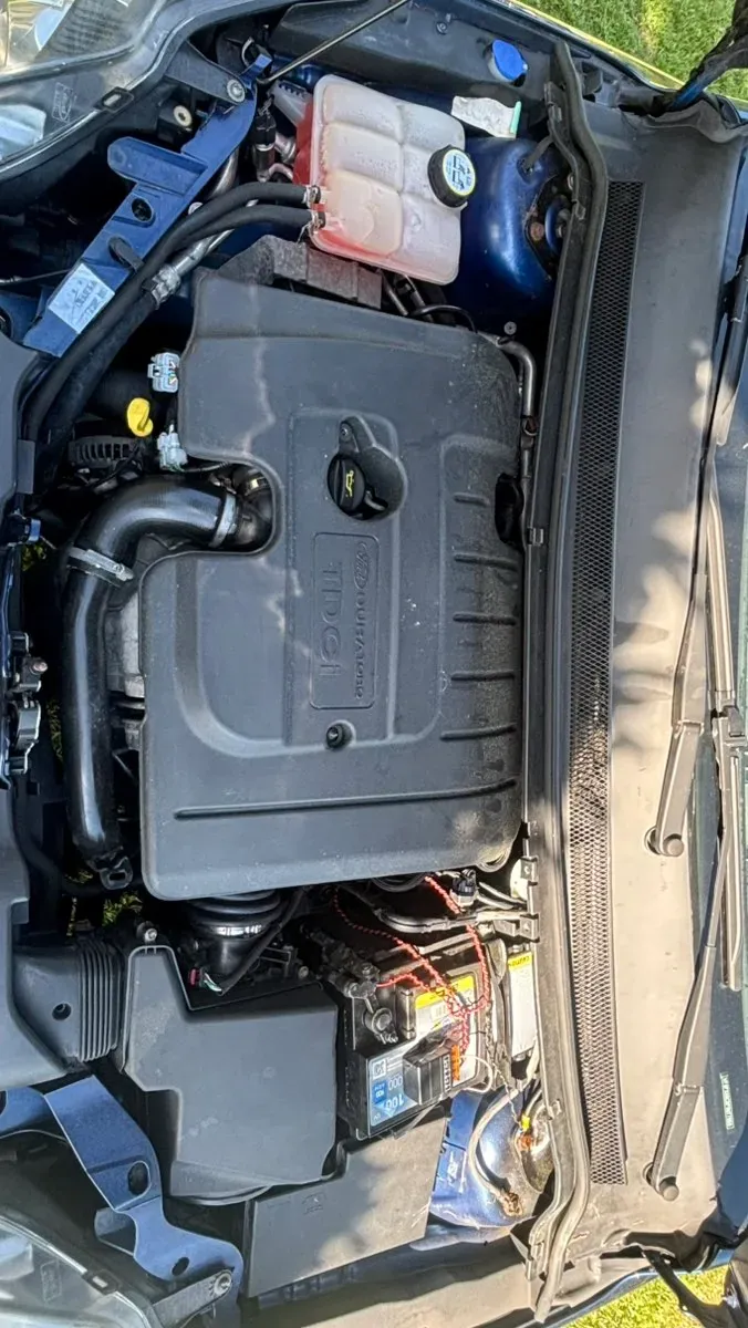 Ford Focus 2009 photo 3