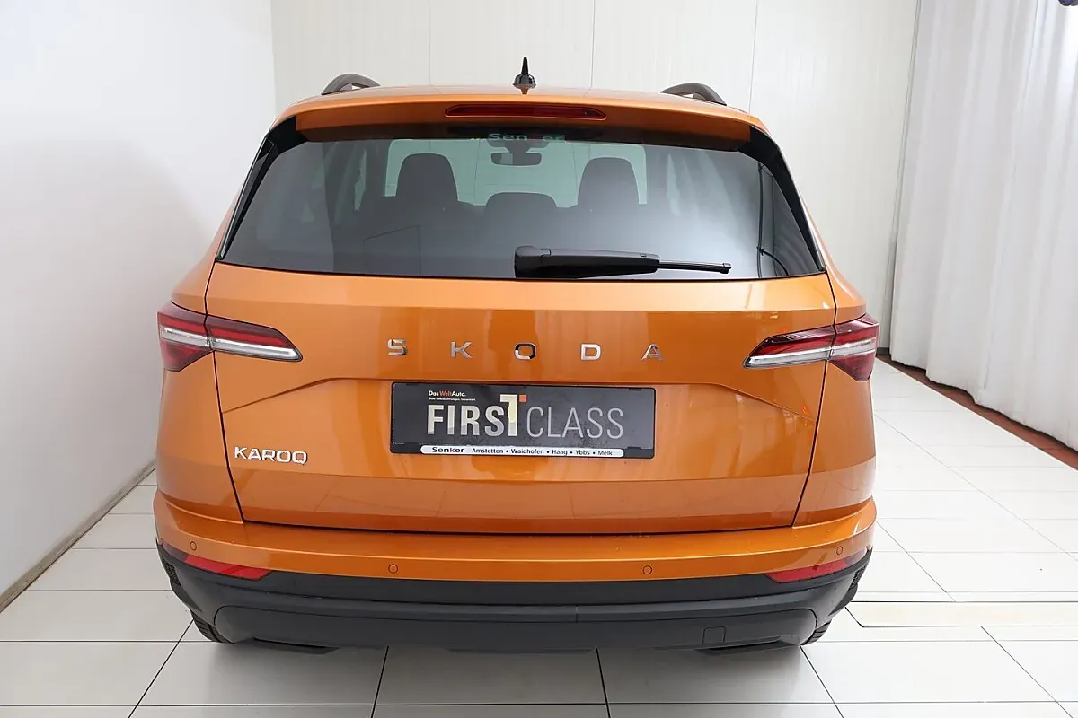 Skoda Karoq 2026 photo 3