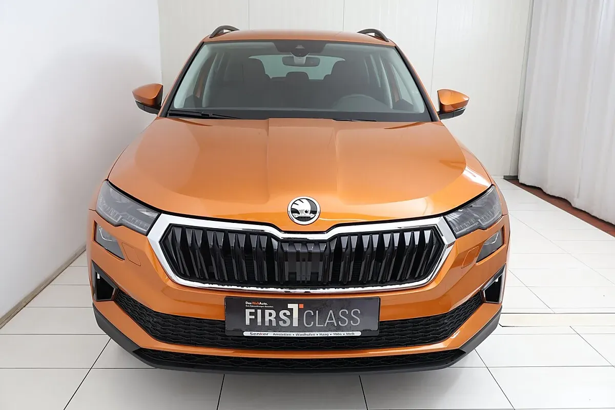 Skoda Karoq 2026 photo 2