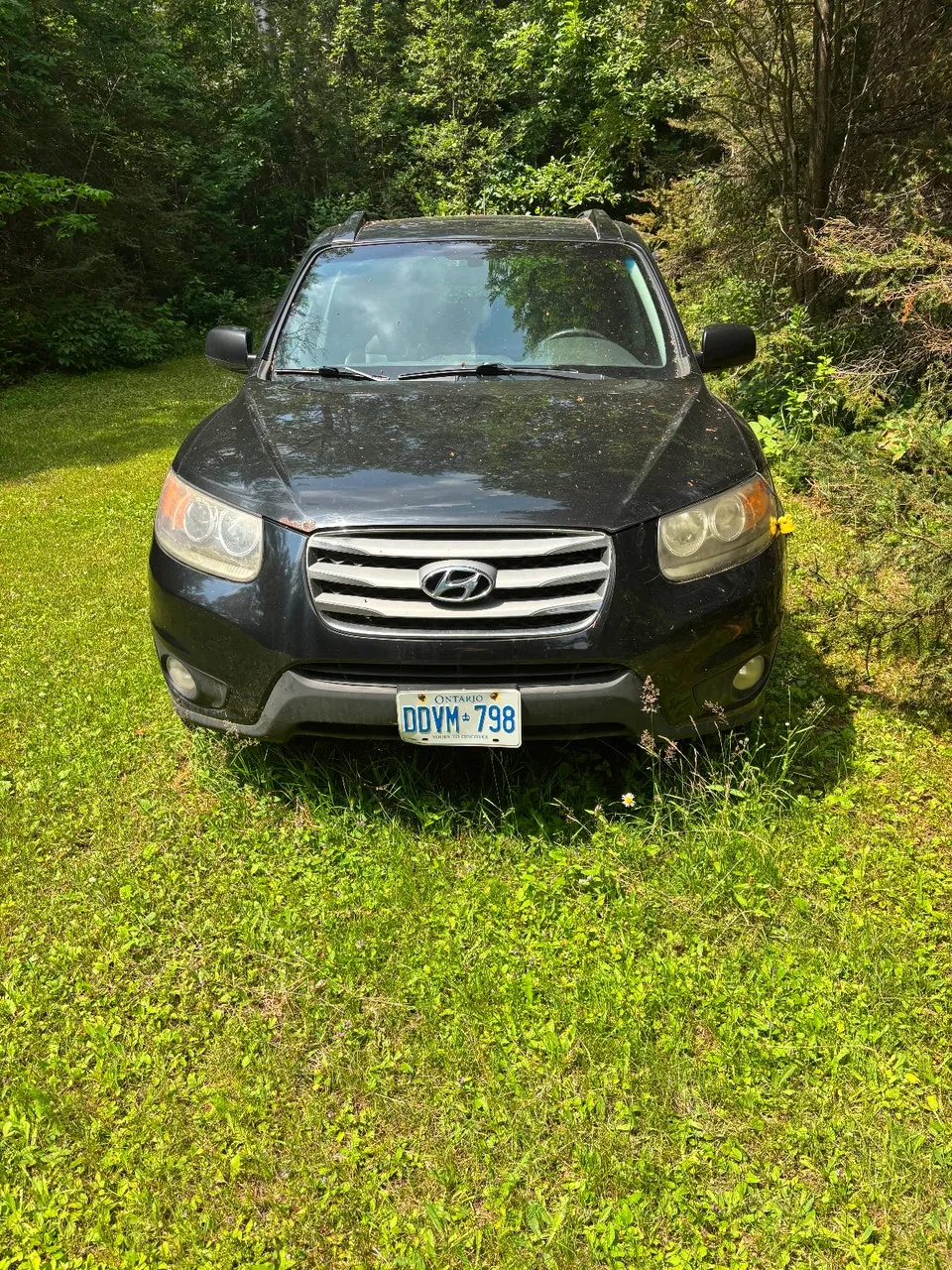 Hyundai Santa Fe 2012 photo 3