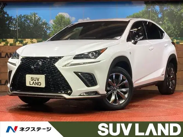 Lexus Nx 300H