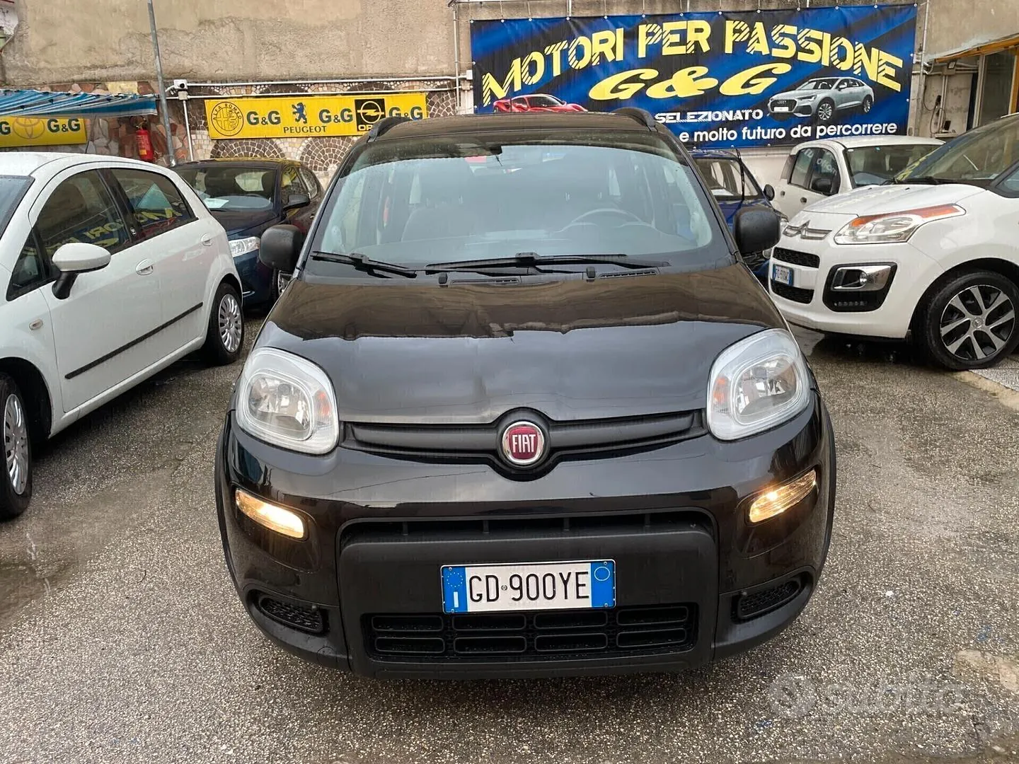Fiat Panda