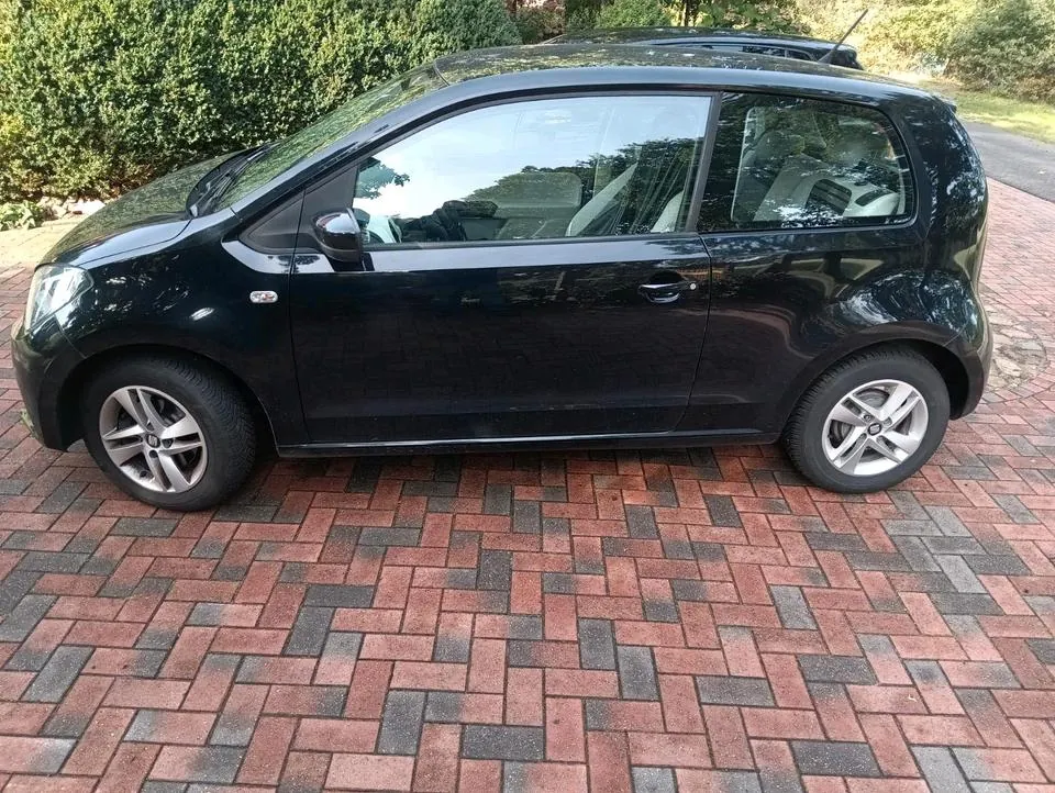 Seat Mii