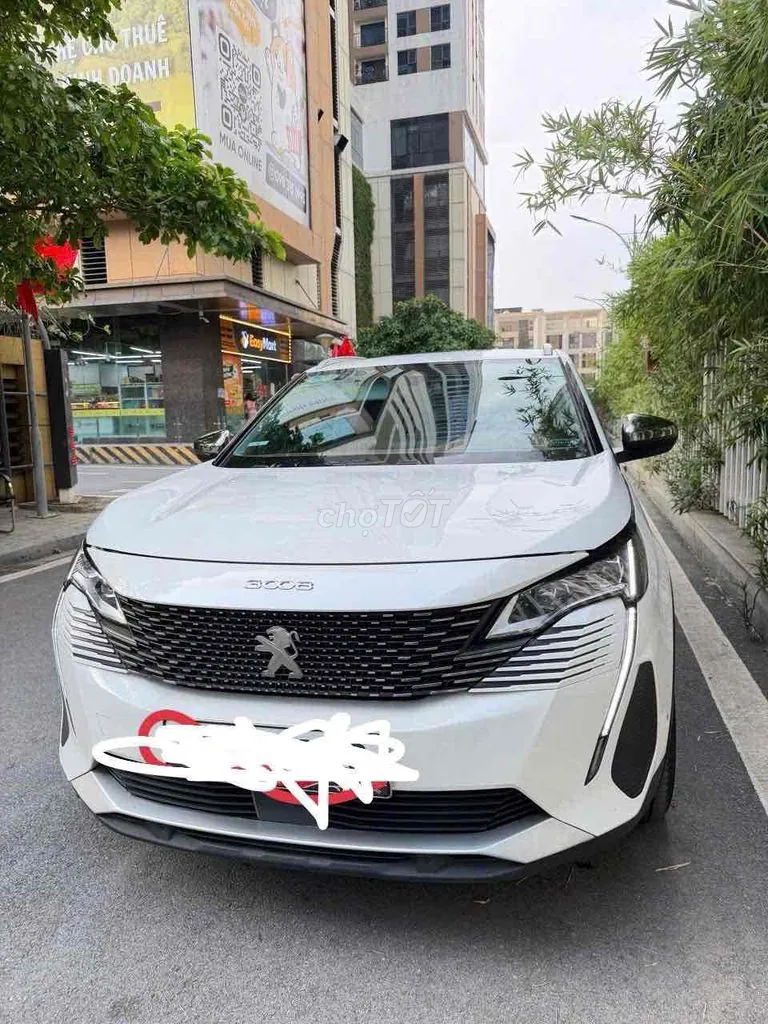 Peugeot 3008 2021 photo 2